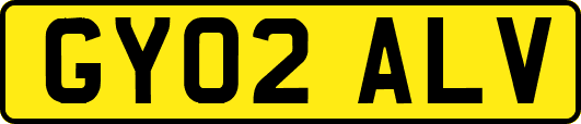 GY02ALV