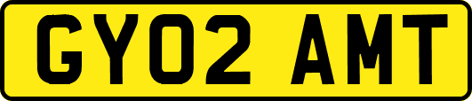 GY02AMT