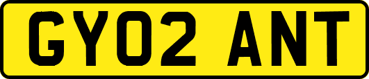 GY02ANT