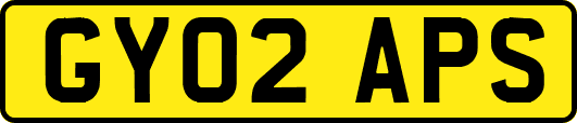GY02APS