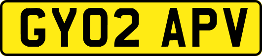 GY02APV