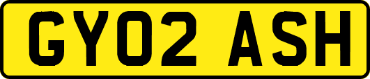 GY02ASH