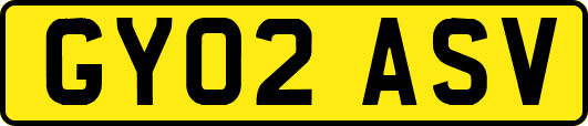 GY02ASV