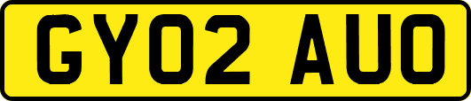 GY02AUO