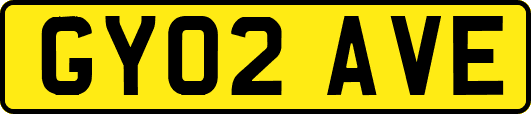 GY02AVE