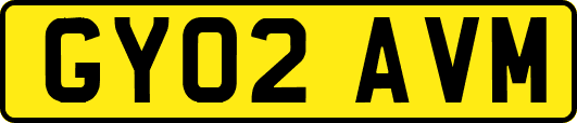 GY02AVM