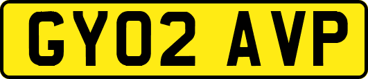 GY02AVP