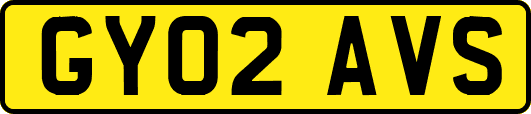 GY02AVS