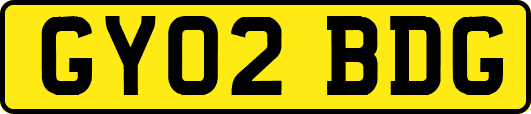 GY02BDG