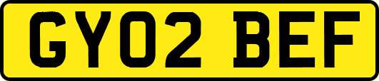 GY02BEF