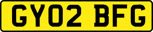 GY02BFG