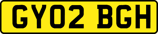 GY02BGH