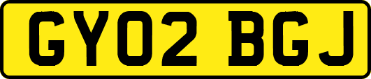 GY02BGJ