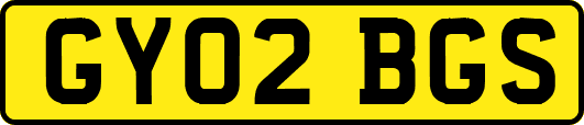 GY02BGS