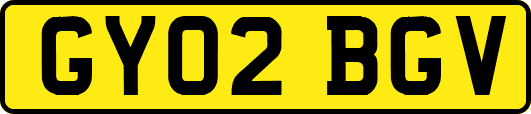 GY02BGV