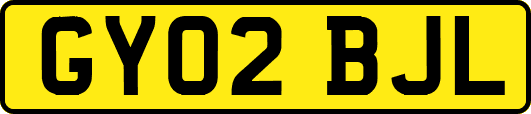 GY02BJL