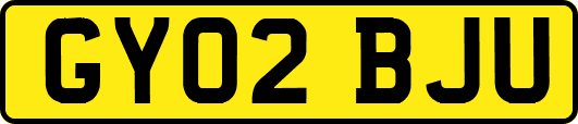 GY02BJU