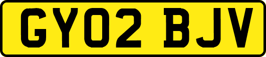 GY02BJV