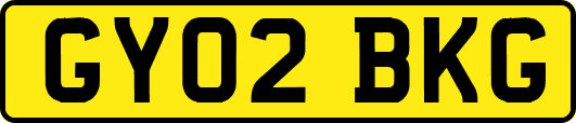 GY02BKG