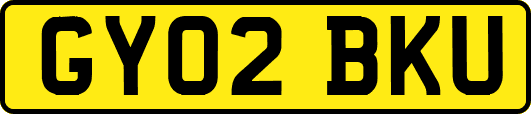 GY02BKU