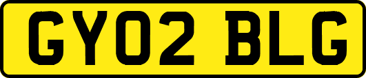 GY02BLG