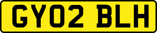 GY02BLH