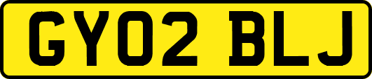 GY02BLJ