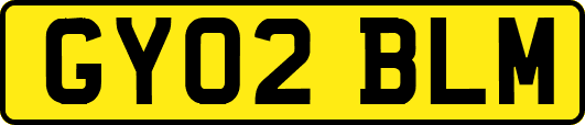 GY02BLM