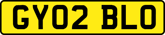 GY02BLO