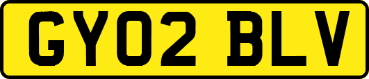 GY02BLV