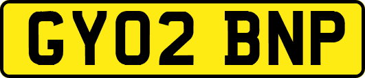 GY02BNP