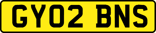 GY02BNS