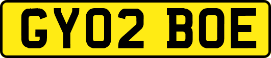 GY02BOE