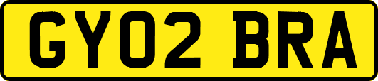 GY02BRA