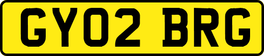 GY02BRG