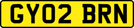 GY02BRN
