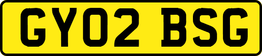 GY02BSG