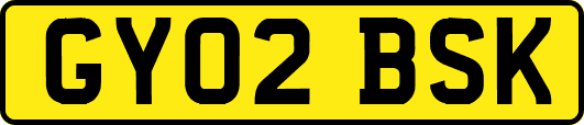 GY02BSK