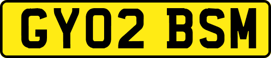 GY02BSM