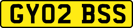 GY02BSS