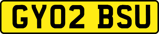 GY02BSU