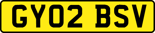 GY02BSV