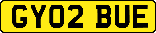GY02BUE