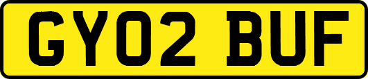 GY02BUF