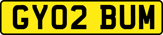 GY02BUM