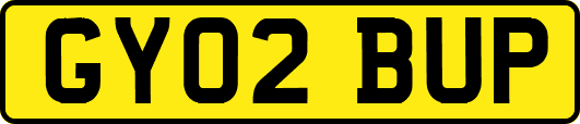 GY02BUP