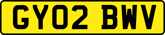 GY02BWV