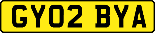 GY02BYA
