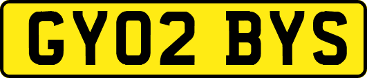 GY02BYS