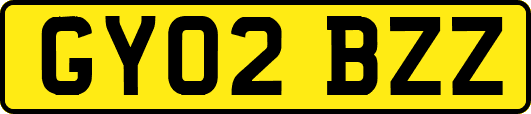GY02BZZ